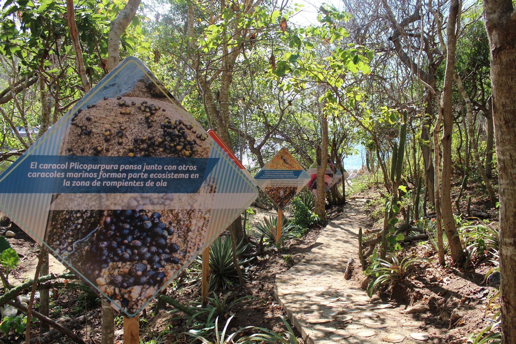 Isla Natura Beach Huatulco Santa Cruz Exterior foto